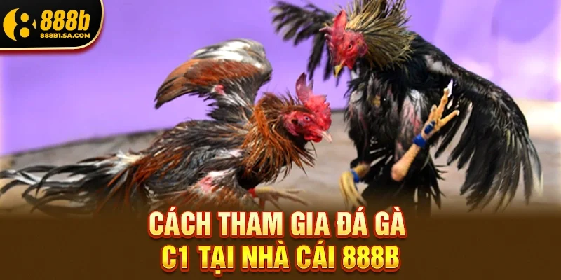 Cách Tham Gia Đá Gà C1 Tại Nhà Cái 888b