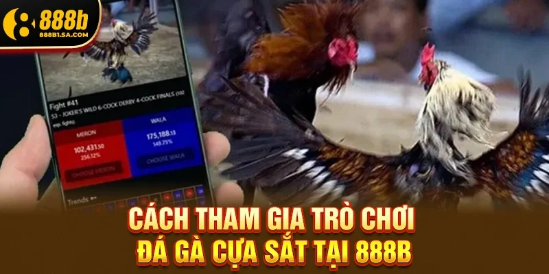 Cách tham gia trò chơi Đá gà cựa sắt tại 888b