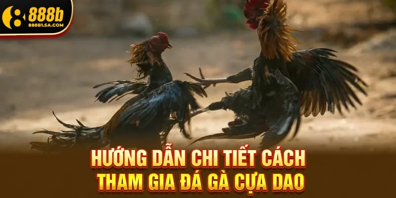 Hướng Dẫn Chi Tiết Cách Tham Gia Đá Gà Cựa Dao Trực Tuyến