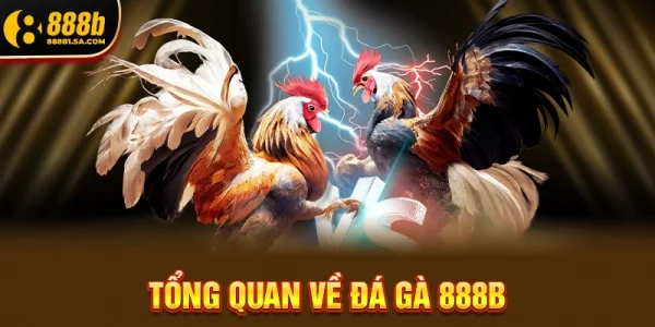 Tổng Quan Về Đá Gà 888b